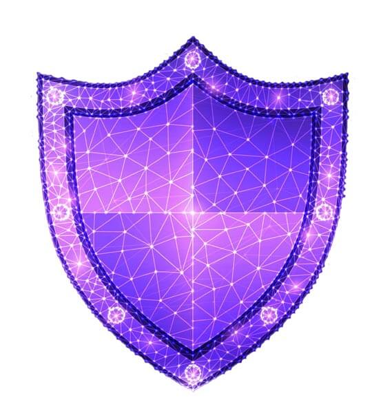 Shield purple